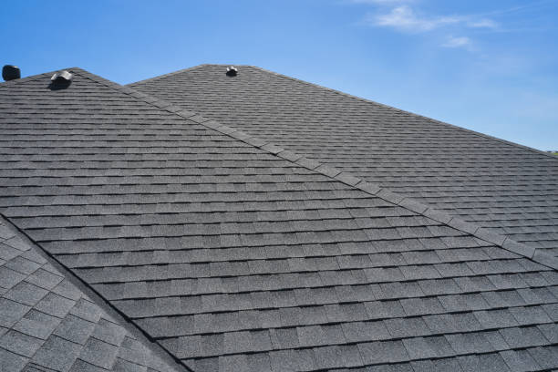 Best Roof Coating and Sealing  in Johnston, SC