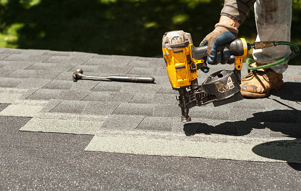 Best Roof Moss and Algae Removal  in Johnston, SC